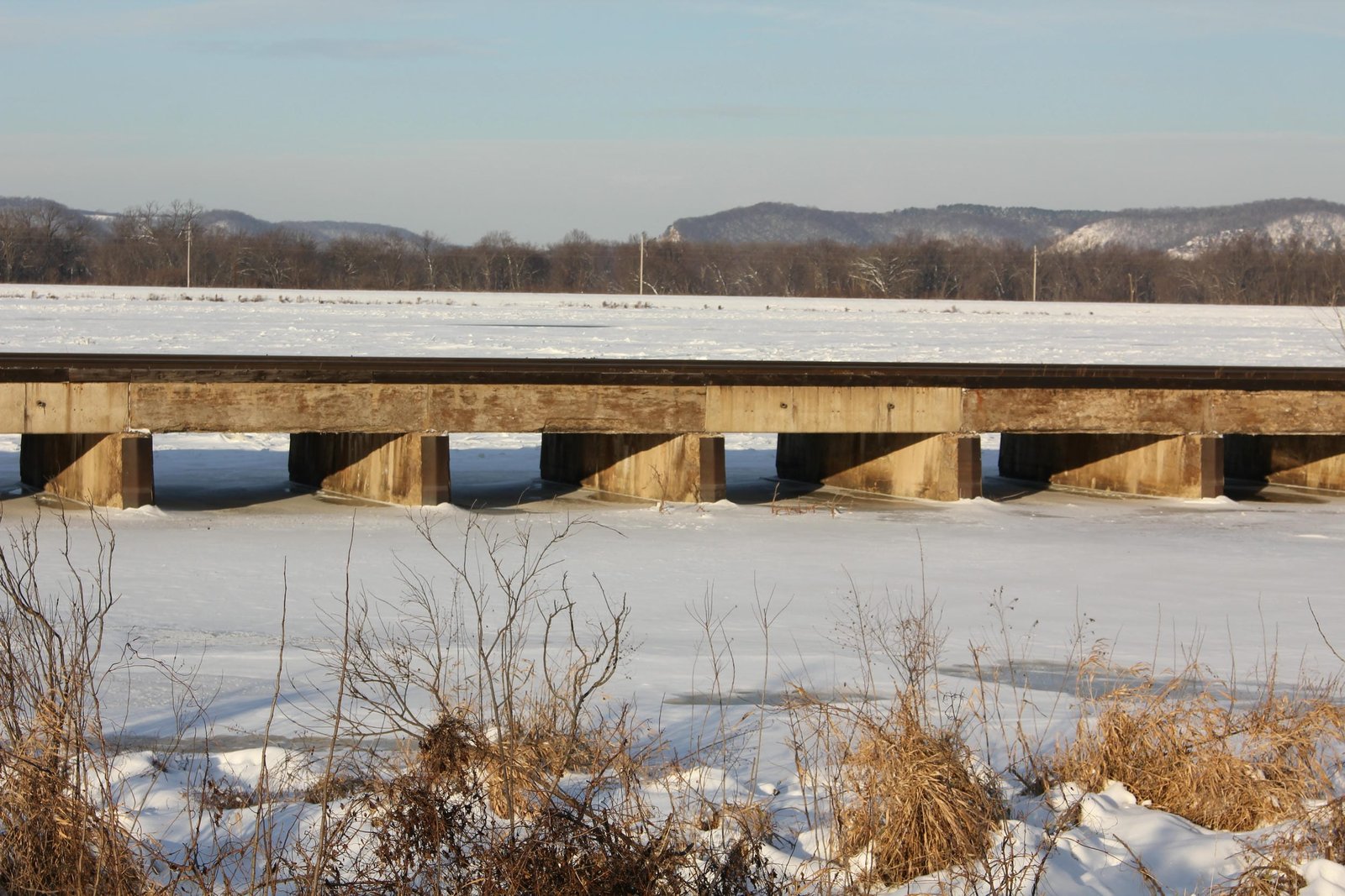 Center of bridge